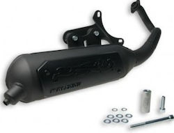 Malossi Wild Lion Motorrad-Auspuffanlage