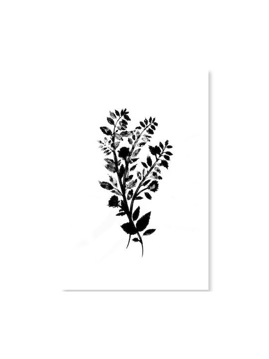 Botanisches Poster - 45cm x 30cm - Illustration 250g