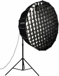 Nanlite NL-EC-PR120 Softbox with Grid 120cmcm.