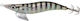 Savage Gear Squid Dealer Squid Jig 11cm 18.8g