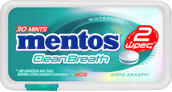 Mentos Chewing gum Wintergreen 21gr