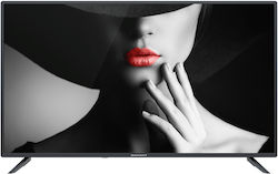 Horizon-Europe Televizor 40" Full HD LED Diamant 40HL4300F/C (2022)