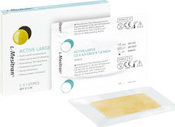 L-Mesitran Hydro Plaster