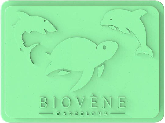 Biovene Badezimmerbox mit Saugnapf 092706 Grüne