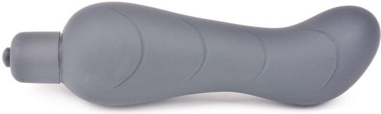 CyprusLoveShop Analvibrator Gray 12.5cm