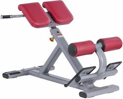 Luxury Adjustable Dorsal Workout Bench