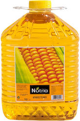 Nutria 