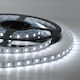 Fos me LED-Streifen 24V Kaltweiß Licht 1m Typ SMD5050