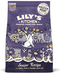 Lily's Kitchen Senior Recipe 7kg Dry Food Grain Free for Senior Dogs with Turkey and Trout