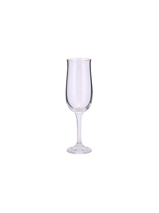 WM Collection WM Collection Goblet Liqueur/Ouzo Glass Set 180ml 6pcs