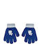 Kids Gloves Knitted Blue Paw Patrol Chase