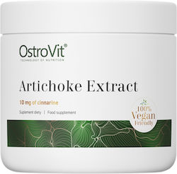 OstroVit Artichoke Extract 100gr OstroVit Artichoke Extract 100gr