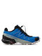 Salomon Speedcross 5 Ανδρικά Αθλητικά Παπούτσια Trail Running Skydiver / Black / White