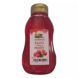 SteviaParana Confectionery Toppings Syrup with Cherry Flavour Sugar Free 360g