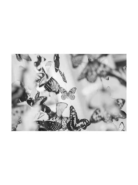 Poster Butterflies - 45cm x 30cm - Illustration 250gr