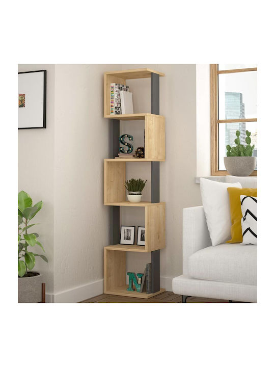 Bookcase Raymond Anthracite / Natural 35x30x161cm