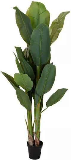 Τεχνητό Φυτό σε Γλάστρα Μαύρο 165cm