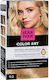 Jean Iver Color Art Hair Dye N.9.0 Very Light B...