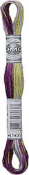 DMC Ață Broderie Mouline 117 Bumbac Violet Lili...