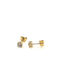 Mono stone earrings 14K Gold