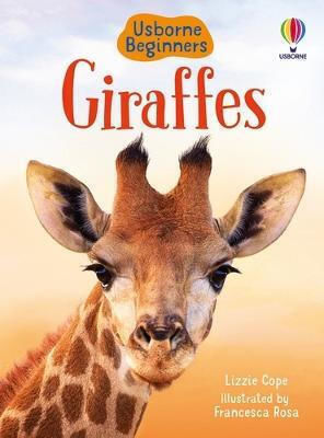 Giraffes Giraffes