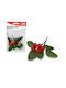 Meyco Christmas Decorative Mistletoe 12pcs