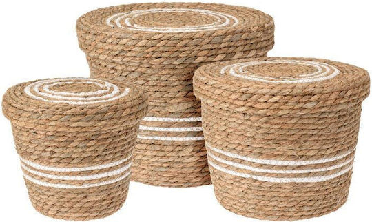AT0000112 Wicker Decorative Basket AT0000112 Wicker Decorative Basket