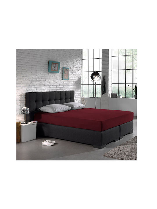 DreamHouse Jersey Σεντόνι King Size με Λάστιχο ...