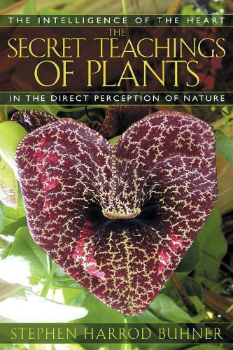 The Secret Teachings of Plants, The Intelligence of the Heart in Direct Perception to Nature