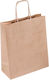 Paper Bag for Gift Brown 25x12x37cm. 25pcs