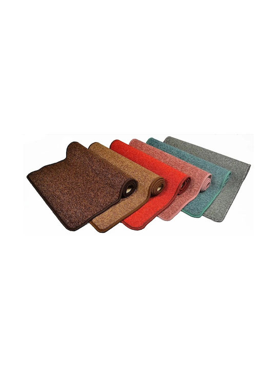 Sidirela Carpet with Non-Slip Underside Doormat...