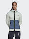 Adidas Terrex Tech Geacă pentru bărbați Linen Green / Wonder Steel