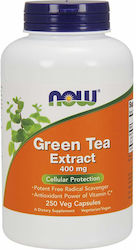 Now Foods Green Tea Extract 400mg 250 φυτικές κάψουλες