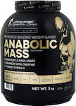 Kevin Levrone Anabolic Mass mit Geschmack Strawberry 3kg