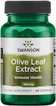 Swanson Olive Leaf Extract 500mg 60 caps