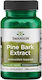 Swanson Pine Bark Extract 50mg 100 caps