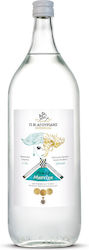 Agouridis Мастикс Ликьор Мастикс 25% 2000ml
