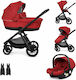 Beboulino Tortoni Verstellbar 3 in 1 Baby Kinde...