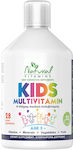 Natural Vitamins Kids Multivitamin 3+ Βιταμίνη 500ml