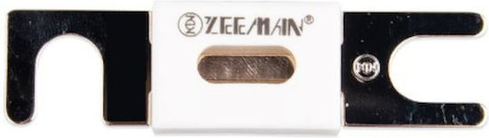 Victron Energy ANL-fuse 300A/80V for 48V products 1τμχ