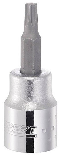 Expert Tools Καρυδάκι με Μύτη Torx και Καρέ Υποδοχής 3/8'' Μέγεθος T10