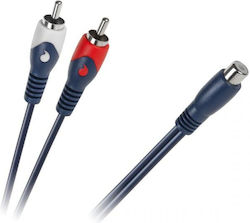 Inne DM-2616 RCA Женски - RCA Мъжки 0.2м