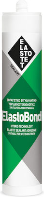 Elastotet Elastobond Sealant Silicone Gray 80ml