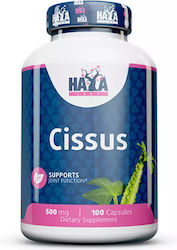 Haya Labs Cissus 500mg 100 Капсули Haya Labs Cissus 500mg 100 Капсули