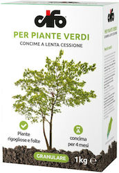 Cifo Granuliert Dünger Per Piante Verdi für Grünpflanzen 1kg