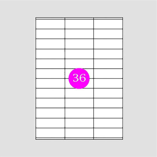 3600 Αυτοκόλλητες Ετικέτες Α4 Ορθογώνιες Maestri 70x23mm