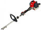 Efco DS 2410D Garden Multi Tool Gasoline without Attachments