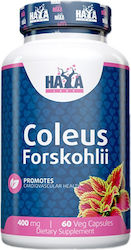 Haya Labs Coleus Forskohlii 400mg 60 κάψουλες