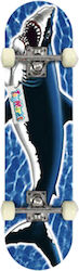ToyMarkt Complete Shortboard 7.8" Blue ToyMarkt Complete Shortboard 7.8" Blue