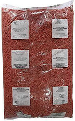 Gemma Rodenticide in Grain Form 5kg